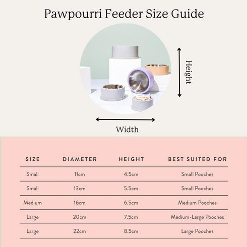 Hand Painted Multicolour Anti-Skid Stainless Steel Water and Food Feeding Bowl for Adult Dogs, Puppies, Cats |Stainless Steel | Anti-Skid | Easy t...