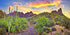 YongFoto Polyester Desert View Cactus Photo Backdrop Green Bush Rocky Purple Rock Wild West Natural Landscape Photography Background 72x18 inches ...