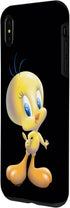 iPhone XS Max Looney Tunes Tweety Bird Airbrushed Case...