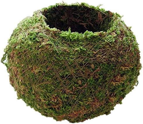 Moss Ball Flower Pot Natural Planter Bonsai Plant Holder Bird Nest for DIY Gardening Home Table Decoration - 15cm...