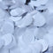 White Confetti 1 inch Paper Confetti Circles for Table Wedding & Birthday Party Decoration 5000 pcs...