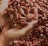 Cortes Instant Chocolate - Made in Puerto Rico by Cortes Hermanos - 12 oz Bag...