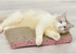 Cat Scratchers Cardboard, Cat Scratch Pad, Cat Scratching, Corrugated Board Reversible with Catnip for Indoor Cats (Waves)...
