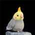Nohito Realistic Grey Cockatiel Parrot Bird Plush Toy Stuffed Animal Simulation Fake Bird Cockatoo Stuffed Animals Cute Little Bird Plushie Doll 4...