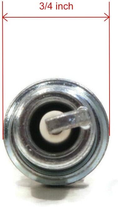 Champion Spark Plug for Briggs & Stratton 491055, 491055S, 491055T OHV Engine...