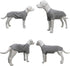 Lovelonglong Pet Clothing Dog Costumes Basic Blank T-Shirt Tee Shirts for Medium Dogs Gray XXL...