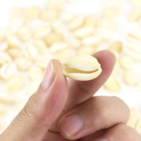 200 Pcs Natural White Cowrie Shells Bulk - 16-18mm No Holes Whole Seashells for Jewelry Making, Wedding Decor, Crafts, Beach Party Supplies (Small...