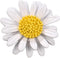 Multicolor Cute Daisy Flower Brooch Pins, Plant Sunflower Suit Lapel Pin,Pink Yellow White Sun Flower Dress Neckline Pin Enamel Charm Daisy Coat C...