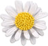 Multicolor Cute Daisy Flower Brooch Pins, Plant Sunflower Suit Lapel Pin,Pink Yellow White Sun Flower Dress Neckline Pin Enamel Charm Daisy Coat C...