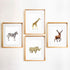 Rolin Roly 9Pcs Animal Painting Stencils Horse Drawing Stencil Forest Animals Painting Template Plastic Templates for DIY Project Giraffe Lion Tig...