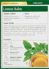 Traditional Medicinals Organic Lemon Balm Herbal Tea, Calming and Supports Digestion, (Pack of 1) - 16 Tea Bags...