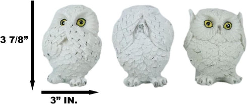 Ebros See Hear Speak No Evil Fat Baby White Owls Figurines Set of 3 Decor Wisdom of The Woods Nocturnal Snow Owl Bird Themed Chibi Owlets Collecti...