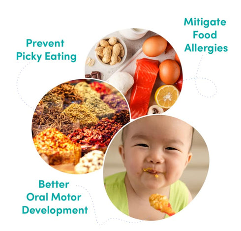 Globowl Stage 3 Baby Food & Toddler Meals, 6+ Months Early Allergen Introduction, Baby Led Weaning, International Whole Food Snacks for Toddlers, ...