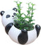 Cute Panda Flowerpot Animal Resin Succulent Planter Desk Mini Ornament...