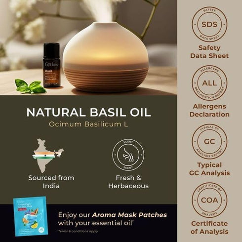 Gya Labs Basil Essential Oil for Diffusers - 0.34 Fl Oz - 100% Pure Natural Basil Oil for Skin, Massage, Fragrance & Candles Making Scent...