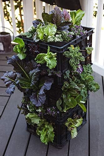 L121212 Smart Pot Milk Crate Liner, 12" x 12" x 12", Black...