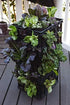 L121212 Smart Pot Milk Crate Liner, 12" x 12" x 12", Black...
