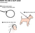 Dog Ultra-fine Leash,slip leads for dogs,Pet Training Leash,Training ?leading and holding suitable for Small,Medium or Large Dogs (orange, 1.1M lo...