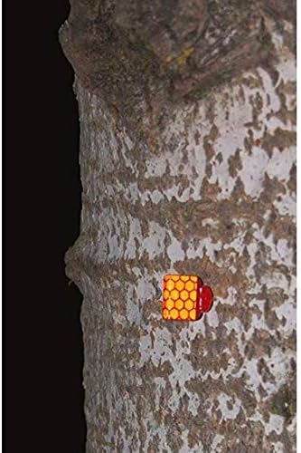 Orange Reflective Wing Tacks (Pack of 50) Trail Tacks, Glow Tacks, Hiking Markers, Trail Marking Tacks, Mark Trail Reflective Thumb Tacks for Hunt...