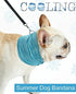 Pet Ice Band Dog Cooling Bandana for Dogs Cats Instant Cooling Collar Breathable Summer Scarf for Hot Days & Summer Large Grey...