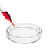 60mm Glass Petri Dishes with Lids High Borosilicate Glass Tissue Culture Plate 5 Pcs...