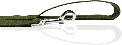 Nylon Dog Leash 10 Feet Long, Walking Training Dog Leashes for Medium Large Dogs, 1 Inch Wide (Green)...