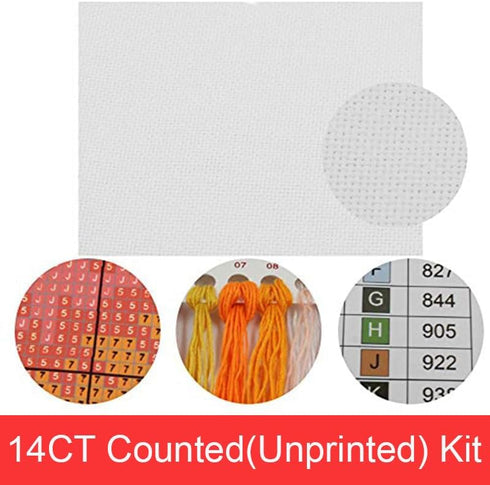 Maydiyer Counted Cross Stitch Kits Full Range of Embroidery Starter Kits for Beginners DIY 14CT Embroidery Kit for Girls-The Starry Night of Van G...