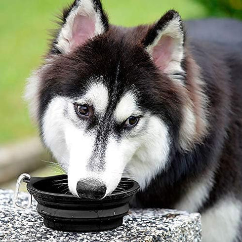 Kytely Large Collapsible Dog Bowls 2 Pack, 34oz Foldable Dog Travel Bowl, Portable Dog Water Food Bowl with Clasp, Pet Cat Feeding Cup Dish for Tr...