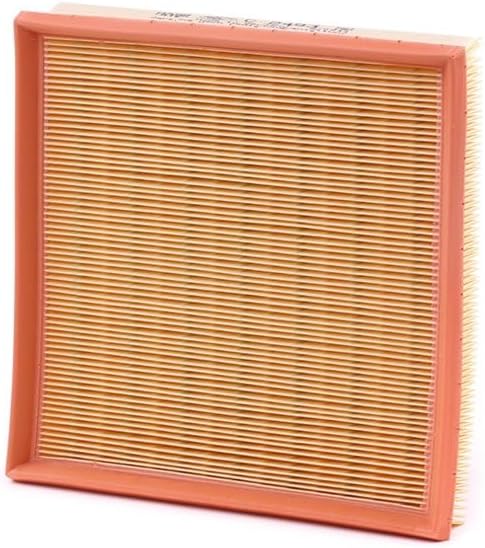Mann Filter Mann-Filter C 2493 Air Filter...