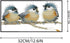 OHAOLYLE Cross Stitch Kits, Stamped Cross Stitching Kits Preprinted for Beginners DIY 11CT Hand Needlework Kits Embroidery Starter Kits Three Bird...