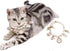 Dog Pearl Collars Princess Bow Necklace Pet Pearl Necklace DogCute Collar Puppy Accessories Cat Jewelry Pearl Neck Strap for Dog Cat (M)...
