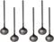 6 PCS Black Coffee Spoons, 18/8 Stainless Steel Espresso Spoons, 5.2 Inches Vogue Mini Tea Spoon, Cappuccino Stirring Small Spoon for Dessert, Ice...