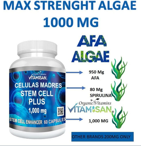 Celulas Madres 60 Capsules Vitamisan 1000 mg Aphanizomenon Flos-aquae Blue Green Algae AFA Stem Natural Cell...