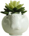 Cute Succulent Planter Animal Shaped Flower Pot Decor for Home Office Desk (Cow)...