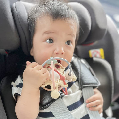 PandaEar Baby Sensory Toys 3 4 5 6 Months, Silicone Montessori Toys, Baby Teething Toy, Infant Rattle Teether Chew Toy Teething Ball Developmental...