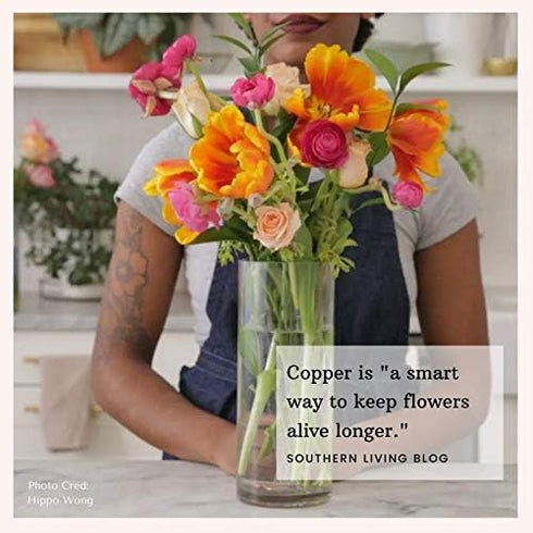 Flower Food Alternative for Fresh Cut Flowers | Copper Charm Keeps Flower Water Clean and Clear | Just Place It in The Vase, Reusable (2 Pack)...
