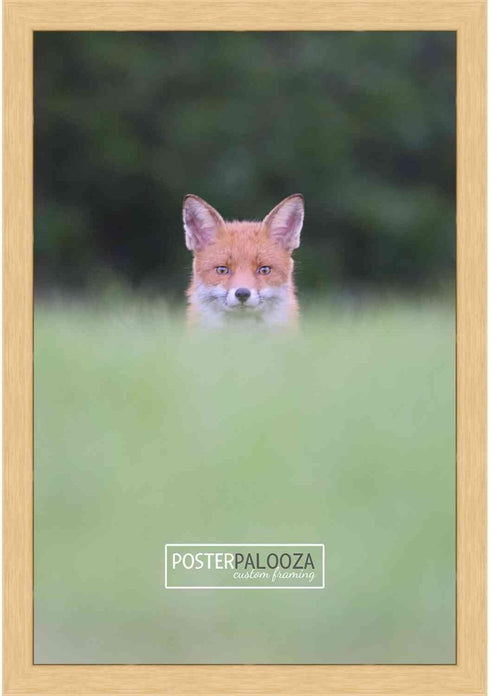 Poster Palooza 6x9 Traditional Natural Wood Picture Frame - UV Acrylic, Foam Board Backing, & Hanging Hardware Included!...