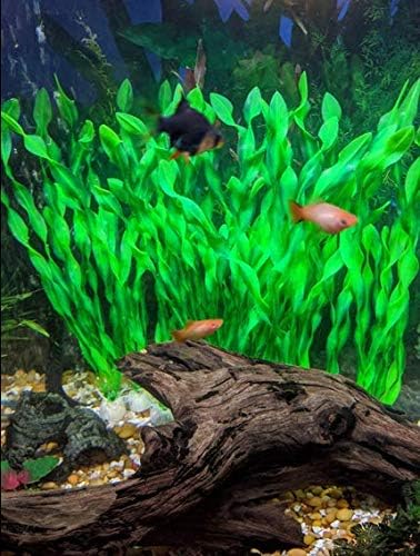 BEGONDIS 14 Pcs Artificial Green Seaweed Water Plants, Fish Tank Aquarium Decorations, Made of Soft Plastic...