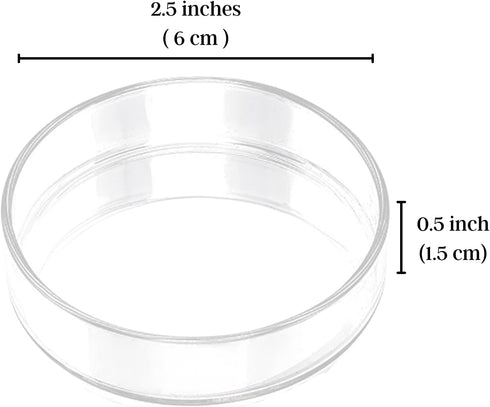 SunGrow Glass Bottom Feeder, Hermit Crab & Gecko Feeder Dish, Borosilicate Glass, Circular Dish for Catfish, Cory, Pleco and Bottom Dwellers, 1 pc...
