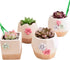 Rocutus 6 Pack Sowing Seeds Planter,Adjustable Hand Held Garden Flower Grass Plant Seeder Tool for Indoor and Outdoor...