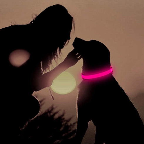 LED Dog Collar, USB Rechargeable Light Up Dog Collar Lights, Adjustable Comfortable Soft Mesh Safety Dog Collar for Small, Medium, Large Dogs(Smal...