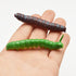24Pcs Simulation Caterpillar Plastic Fake Worm Crawling Halloween Prank Toy Educational Learning Toys for Kids (Random Style)...