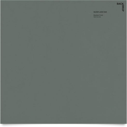 BACKDROP | Premium Interior Paint | Large Adhesive Paint Swatch | SILVER LAKE DAD - Slate Blue Gray | 12" x 12" Color Sample...