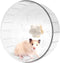 GOLDEAL 6.7Inchs Silent Hamster Wheel, Hamster Toys for Hamster Cage, Super Mute Spinner Exercise Running Wheel for Small Hamsters, Gerbils, or Mi...
