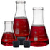 Glass Erlenmeyer Flask Set with Rubber Stoppers - 3 Sizes - 50, 150 and 250ml, Karter Scientific 214U8...