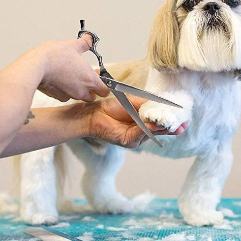 Grooming Pet Shear, 6.5 Inch Downword Curved Scissors, Curved Shears for Cat Shears and Small Dog Shears Or Any Breed Trimming Cuts, Design for Pr...