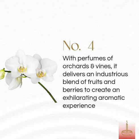 Gonesh - Classic Collection - Non-Toxic 10” Slow Burn Fruit & Floral Aromatic Sticks - No. 4-100 Pack...