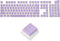 MECCANIXITY 104 Keys Pudding Keycaps Set OEM Profile 60 Percent PBT for 61/87/104 Mechanical Keyboard Layout, Purple & Translucent Double Shot...