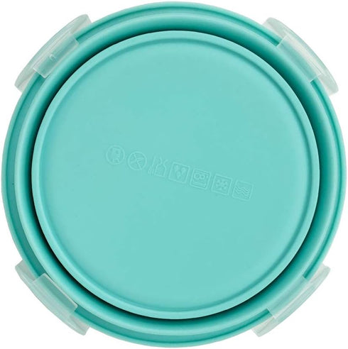 CARTINTS Small Collapsible Bowl Silicone Food Storage Containers Collapsible Camping Bowl for Travel Camping Hiking with Airtight Plastic Lids and...
