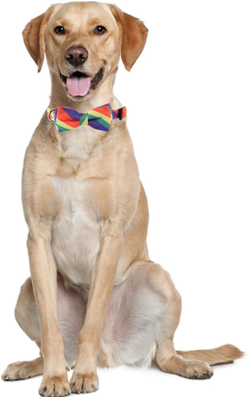 Rainbow Dog Collar with Bow Tie for LGBT Pride Gay Parade Puppy Pet Collar LGBT for Small Medium Large Dog...